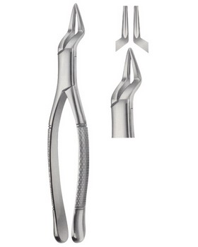 Tooth Extracting Forceps  